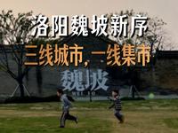 洛阳魏坡新序——三线城市 一线集市