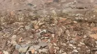 上林湖越窑遗址