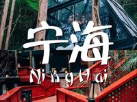 摄影旅行｜在宁海一定要来感受下温泉森林的气息
