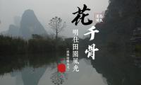 【你好·广西】崇左·明仕田园·花千骨同款景色打卡VLOG