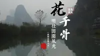 【你好·广西】崇左·明仕田园·花千骨同款景色打卡VLOG