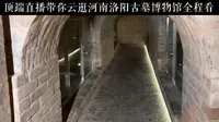 顶端直播带你云逛河南洛阳古墓博物馆全程看