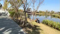 2023年11月26日，成都金牛区易园园林艺术博物馆走一走