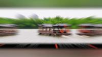 湖州长兴太湖图影湿地文化园，环境还不错
