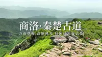游秦岭终南山秦楚古道，万亩草甸高原风光，休闲爬山好去处！