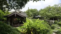 泰州免费园林——乔园 风景不输隔壁扬州个园