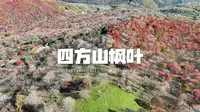十一自驾331的最后一站：白山四方山枫叶谷。