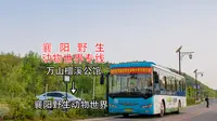 『乡间小路弯又弯，专线狂飙直抵动物园』【襄阳公交襄阳野生动物世界专线】万山檀溪公馆→襄阳野生动物世界 全程前方展望POV