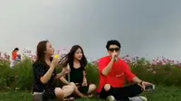 空港花田