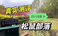 真实测评成都松鼠部落好不好玩