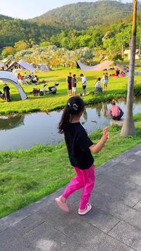 这个夏天，你们来泉州植物园露营野炊了吗？