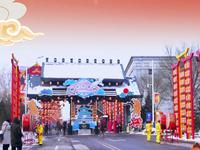 振兴小镇春节嘉年华已启动，快来这里过大年！