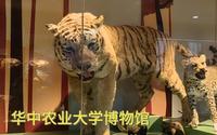 华中农业大学博物馆