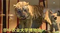 华中农业大学博物馆