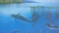【古生物】关岭生物群