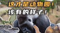 这才是动物园该有的样子！南京红山森林动物园上篇！