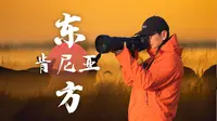江苏盐城野鹿荡，东方的肯尼亚｜一场无需远赴非洲的野性浪漫