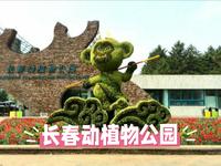 长春动植物公园：白天动物园夜晚西游记神仙玩法！