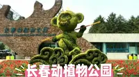 长春动植物公园：白天动物园夜晚西游记神仙玩法！