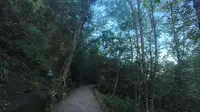 黄山游玩——北海景区到云谷索道
