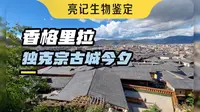 香格里拉独克宗古城今夕