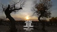 【原创】内蒙古映像 内蒙古自治区 阿拉善盟 额济纳旗【黑城弱水胡杨林】(五)