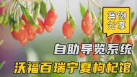 沃福百瑞宁夏枸杞馆案例