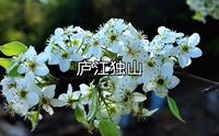 庐江独山