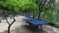 大风里的铁山公园