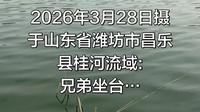 2026年3月28日摄于山东省潍坊市昌乐县桂河流域: 兄弟坐台…