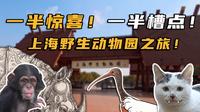 一半惊喜一半槽点 上海野生动物园之旅！