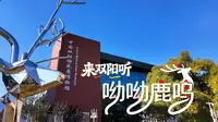 这里有300多年的养鹿史，这里曾是清代的“皇家鹿苑”。双阳是经国务院认证的“中国梅花鹿之乡”。让我们走进中国双阳梅花鹿博物馆，去聆听鹿乡的故事。