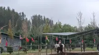 在高密五龙河景区游玩！3