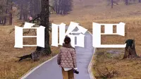 我的阿勒泰：白哈巴和小动物在一起｜边境线上山居两夜