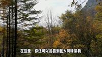 萝北名山景区：中俄犹文化交融的自然人文之旅