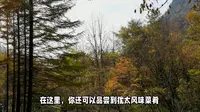萝北名山景区：中俄犹文化交融的自然人文之旅