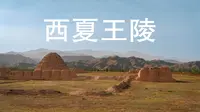 实地走访西夏王陵3号陵，揭秘西夏开国帝王