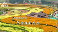 这里的春天是彩色的，如同画卷一般，这里是三圣乡五彩油菜花田
