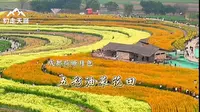 这里的春天是彩色的，如同画卷一般，这里是三圣乡五彩油菜花田