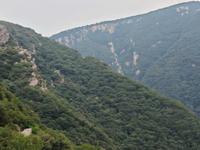 嵩山永泰寺(づ ●─● )づ猫道