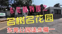 东莞公园徒步篇一：植物园之名树名花园
