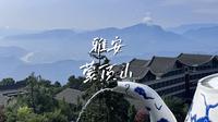 100块钱雅安蒙顶山徒步一日游，攻略在视频最后。