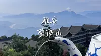 100块钱雅安蒙顶山徒步一日游，攻略在视频最后。