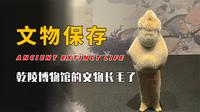 乾陵博物馆的文物长毛了？武则天墓从未被打开过，文物从哪里来？