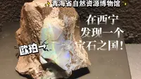 在西宁，带你逛宝石之国！青海省自然资源博物馆三楼矿石馆。
