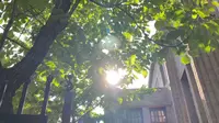 五一游西安事变纪念馆
