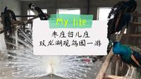 枣庄台儿庄双龙湖观鸟园