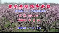 重游崇明瑞华果园
