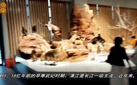 宜昌博物馆：囊括自然,人文历史,民俗风情,物竞天择,开辟鸿蒙,巴楚三国文化,宜昌教案开埠通商,川汉铁路,宜昌抗战,古城记忆-访宜昌博物馆略记MV墨鱼摄影制作