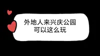 兴庆宫公园游玩攻略